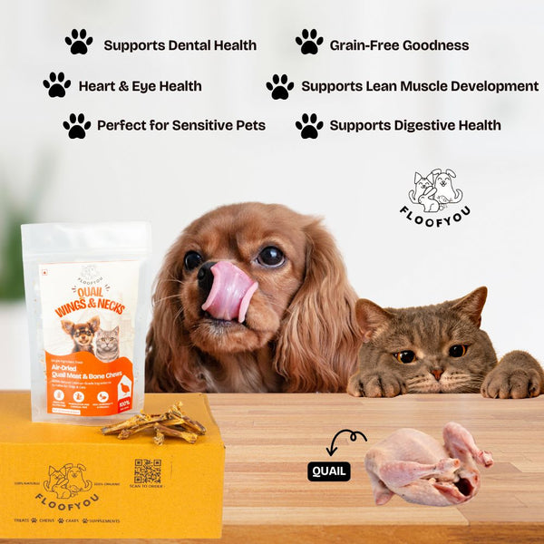 FloofYou Air Dried Quail Wings and Neck Chews Dog and Cats Treats