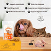 FloofYou Air Dried Quail Wings and Neck Chews Dog and Cats Treats Dog Treats + Others FloofYou