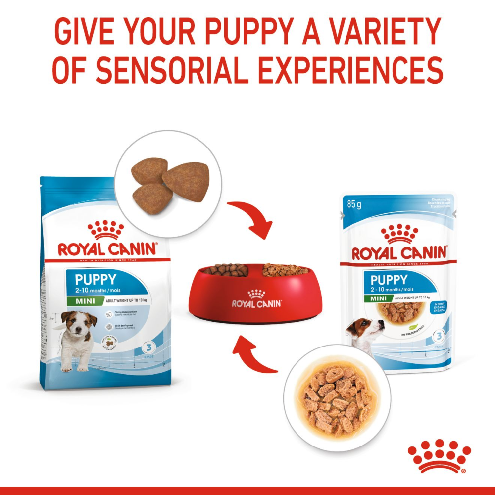 Henlo Baked Puppy Dry Food and Royal Canin Mini Puppy Gravy Wet Food Combo