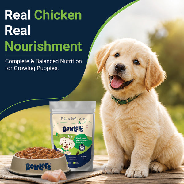Bowlers Chicken and Liver Recipe in Gravy Puppy Dog Wet Food