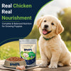 Bowlers Chicken and Liver Recipe in Gravy Puppy Dog Wet Food Dogs-Wet Food Bowlers