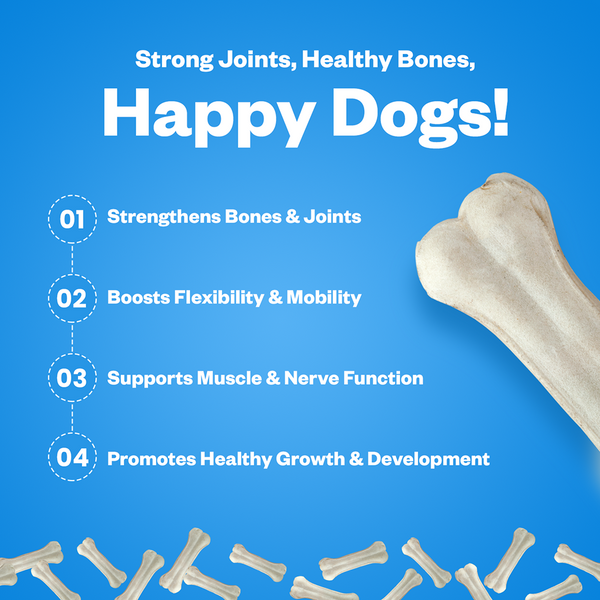TailsAlive Hip & Joint and Calcium Chicken Flavor Soft Chews Supplements Combo for Dogs