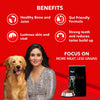 Drools Focus Super Premium Adult Dry Dog Food and Real Chicken & Chicken Liver Chunks in Gravy Adult Dog Wet Food Combo Exclusive Combo Drools Focus