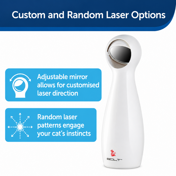 PetSafe FroliCat Bolt Automatic Laser Toy for Cats