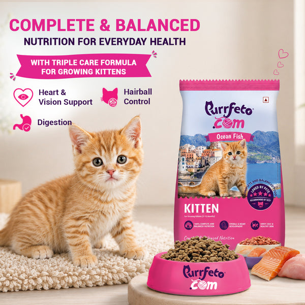 Purrfeto.com Ocean Fish Kitten Cat Dry Food