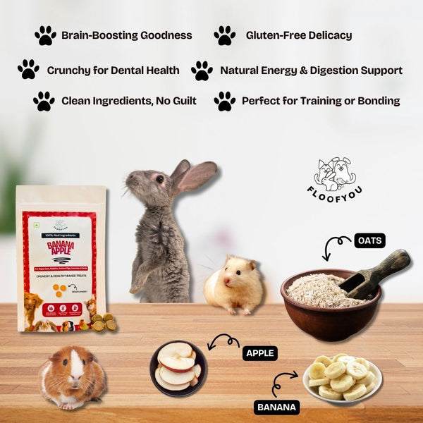 FloofYou Oven Baked Banana Apple Small Animal Treats
