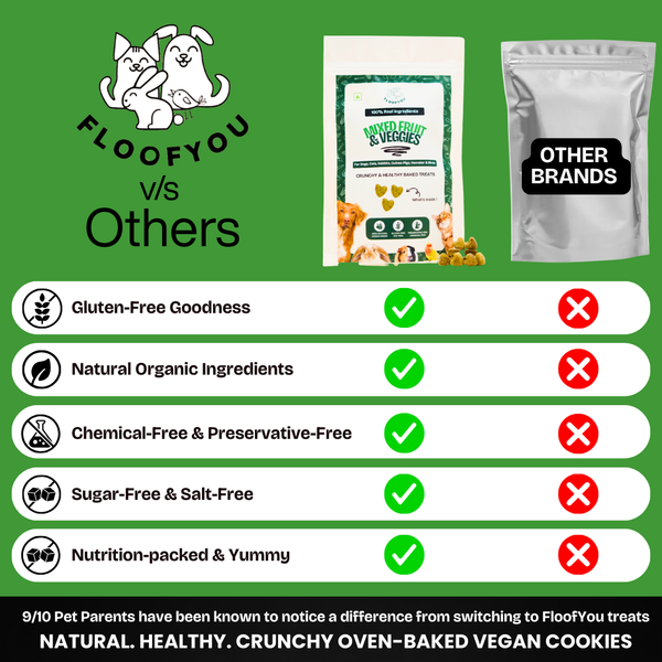 FloofYou Oven Baked Mixed Fruit & Veggies Small Animal Treats