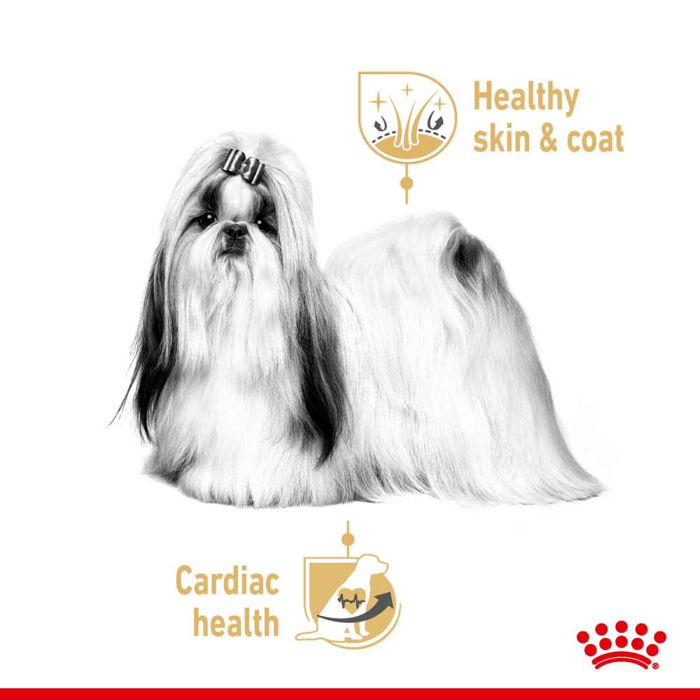 Henlo Baked Adult Dry Food and Royal Canin Loaf In Gravy Shih Tzu Adult Wet Food Combo