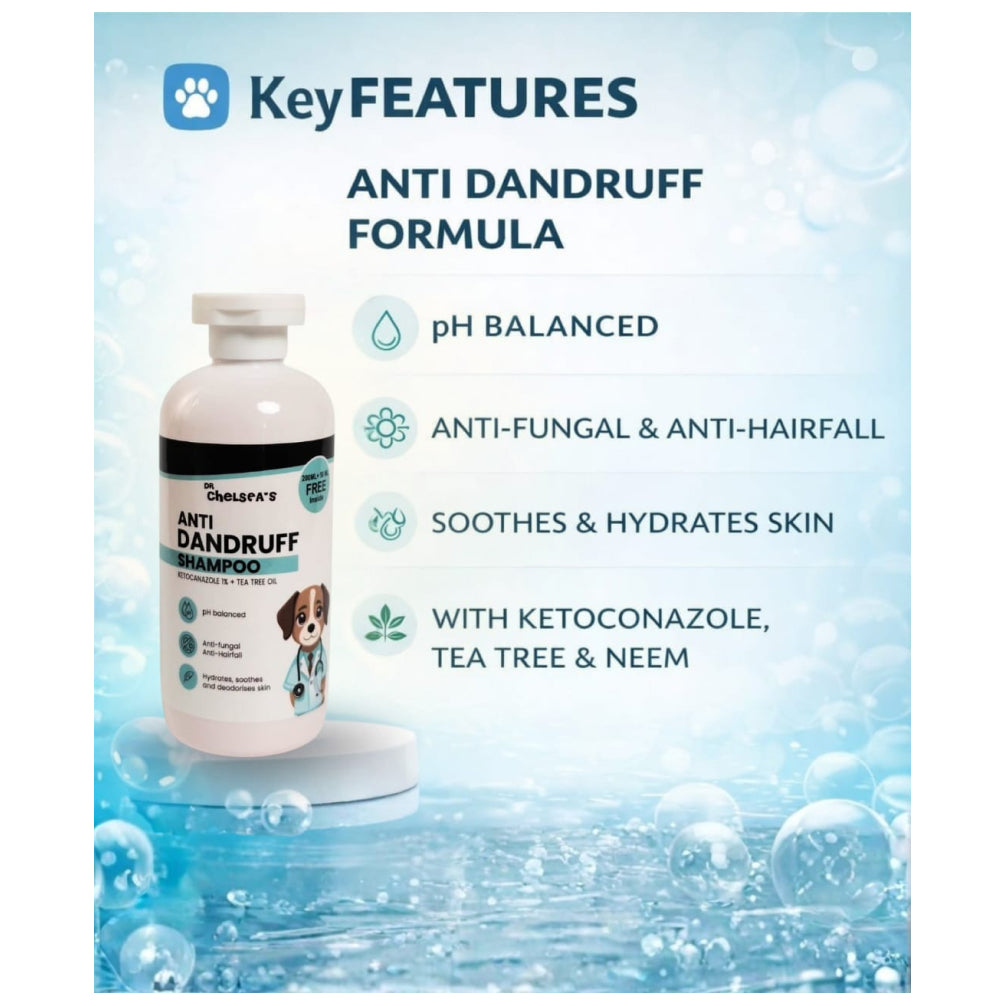 Dr. Chelsea’s Anti Dandruff Shampoo for Dogs & Cats Both-Grooming Supplies Dr. Chelsea's Dropship