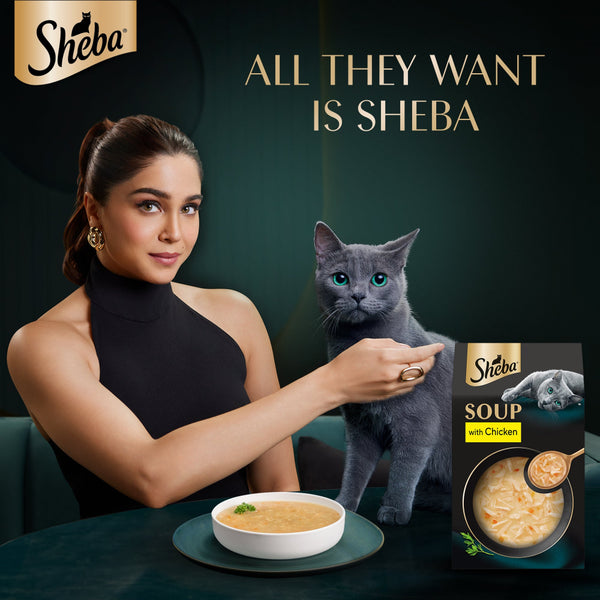 Sheba Soup with Chicken Adult Cat Wet Food