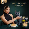 Sheba Soup with Chicken Adult Cat Wet Food Cats-Wet Food Sheba
