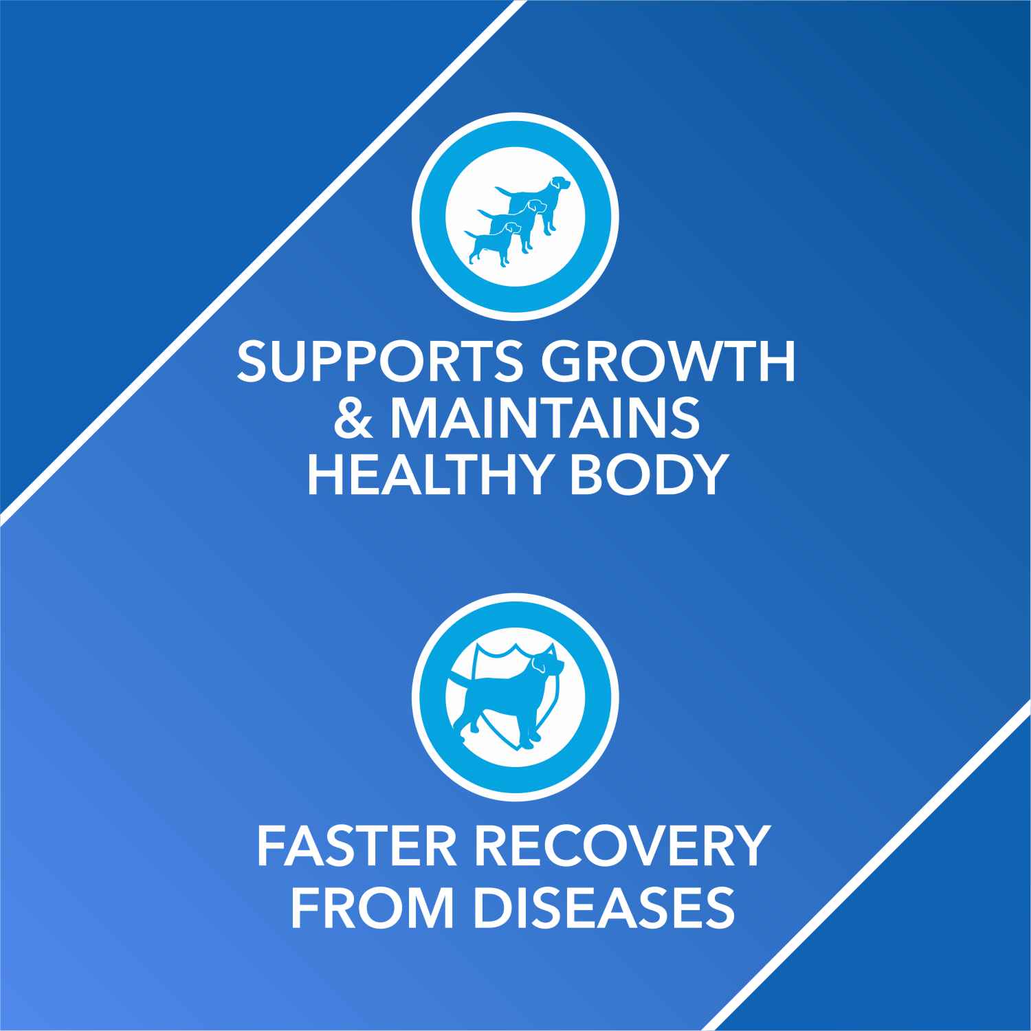 Drools Absolute Vitamin and Absolute Calcium Supplement Tablets for Dogs Combo Dogs-Health & Wellness Drools