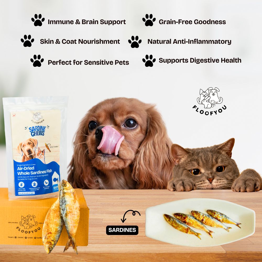 FloofYou Air Dried Whole Sardines Fish Dog & Cat Treats Dog Treats + Others FloofYou