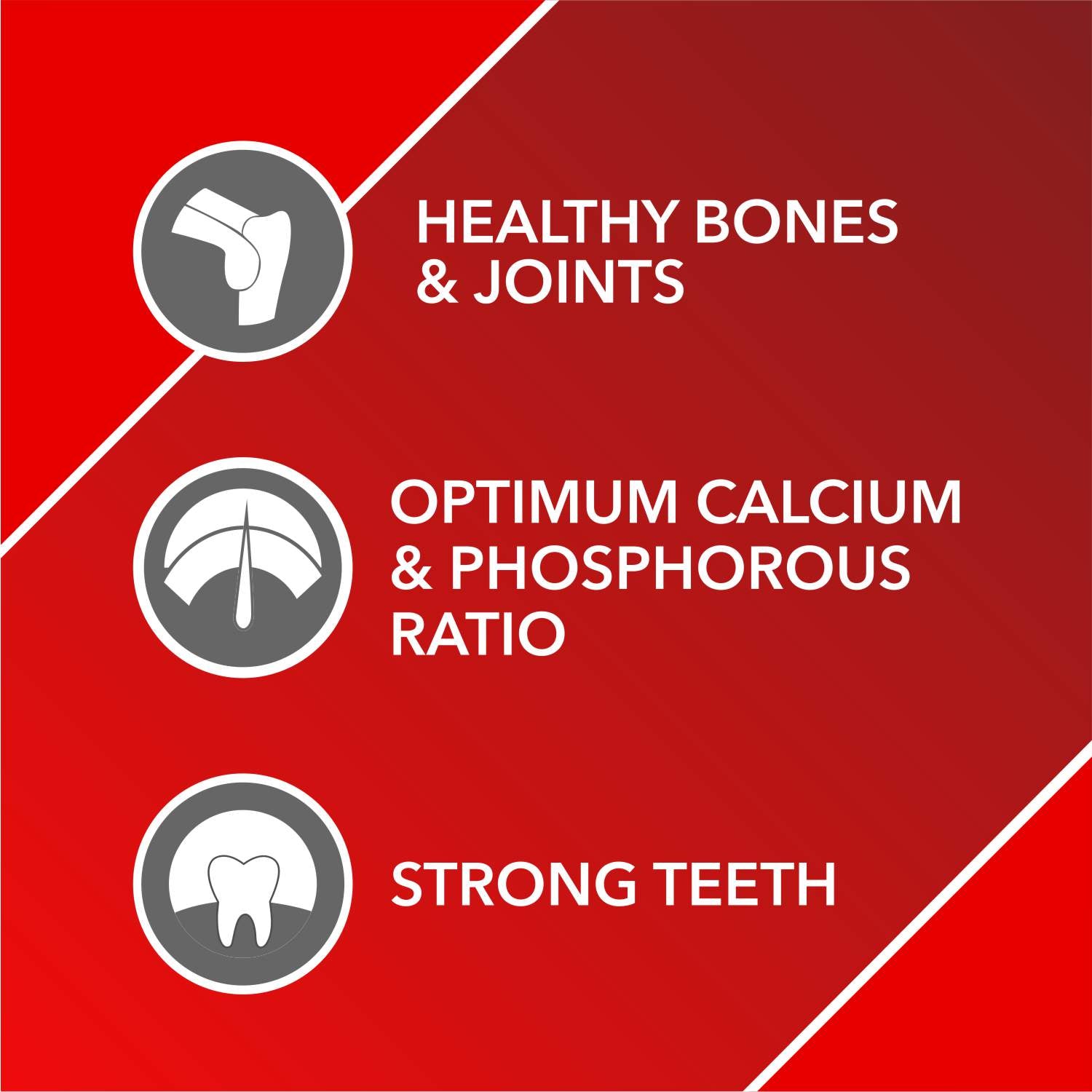 Drools Absolute Calcium Dog Supplement Tablets Dogs-Health & Wellness Drools