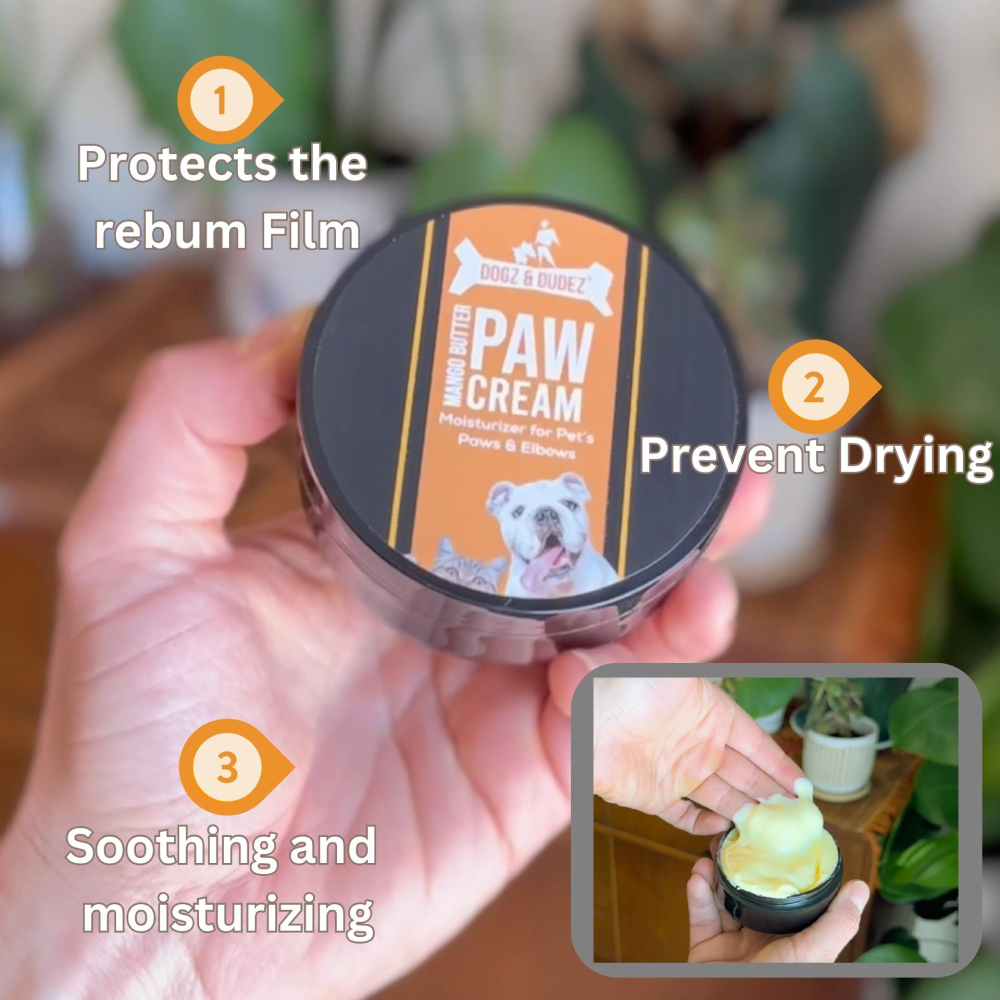 DOGZ & DUDEZ Mango Butter Paw Cream for Dogs and Cats Both-Grooming Supplies DOGZ & DUDEZ