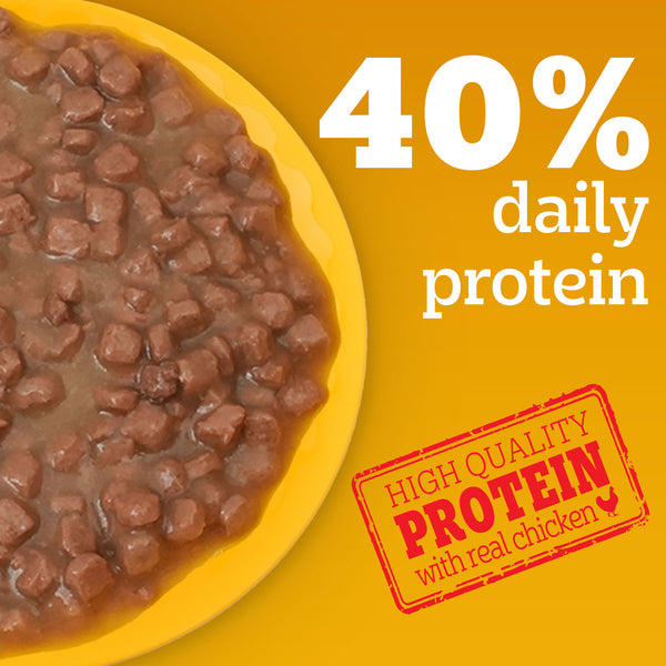 Pedigree Puppy Dog Food Combo |Meat & Milk Dry & Chicken & Liver Wet