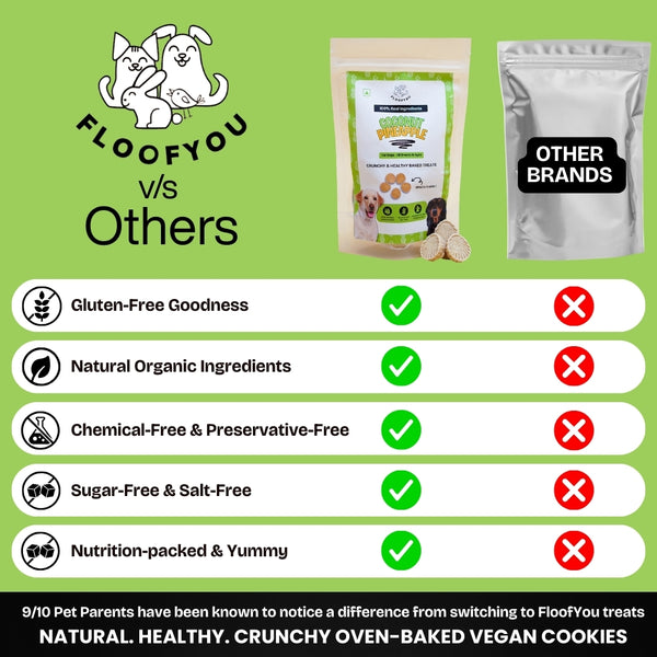 Floofyou Coconut Pineapple Vegan Oven Baked Cookie Dog Treats