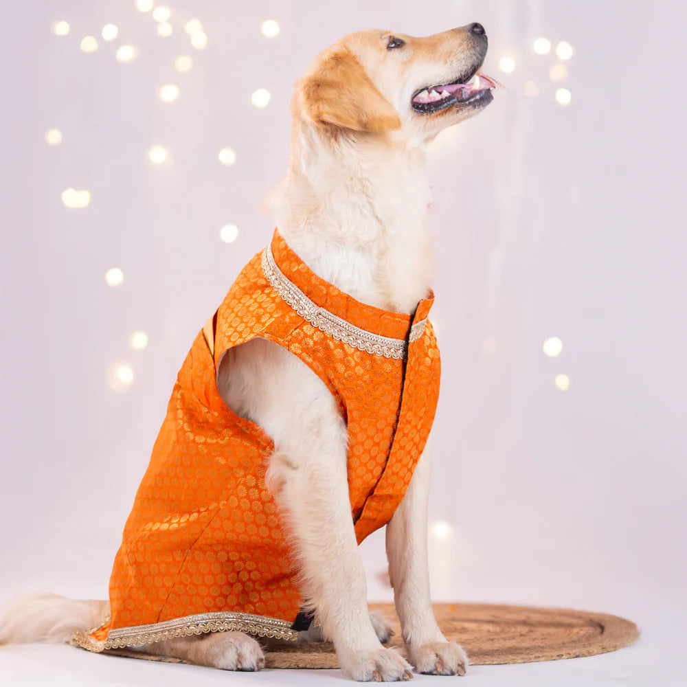 Pet Set Go Kurta with Bowtie for Dogs (Orange) Dogs-Clothing & Accessories Pet Set Go Dropship