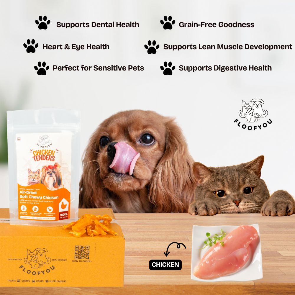 FloofYou Air Dried Chewy Chicken Tender Dogs & Cats Treat Dog Treats + Others FloofYou