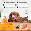 FloofYou Air Dried Chewy Chicken Tender Dogs & Cats Treat Dog Treats + Others FloofYou