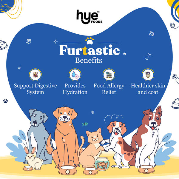 HYE Pets Nutrient Rich Goat Milk Powder for Dogs and Cats