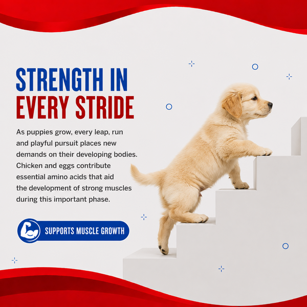 Drools Optimum Performance Puppy Dog Dry Food
