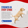 Drools Optimum Performance Puppy Dog Dry Food Dogs- Dry Food Drools