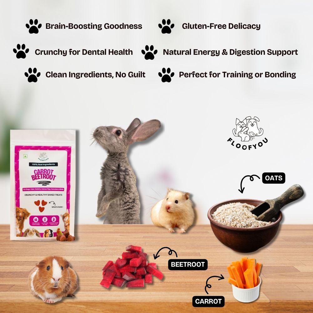 FloofYou Oven Baked Carrot Beetroot Rabbit Treats Rabbits FloofYou