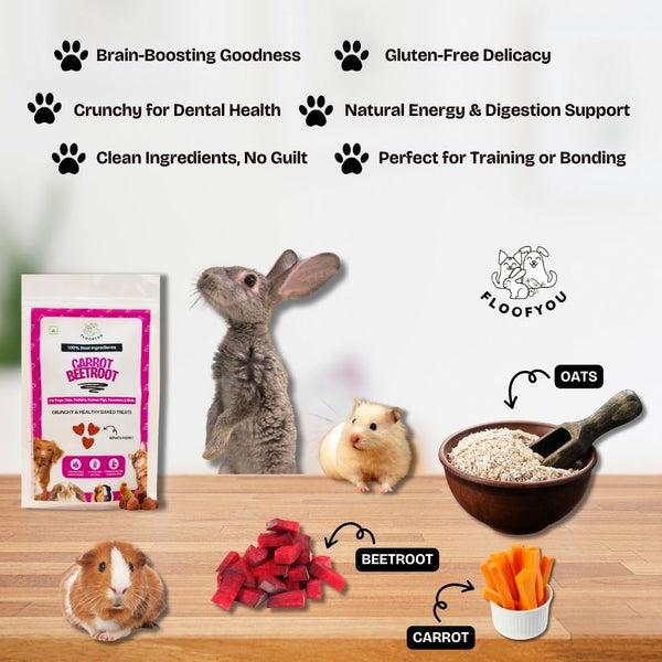 FloofYou Oven Baked Carrot Beetroot Rabbit Treats