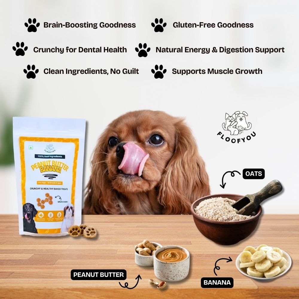 FloofYou Oven Baked Peanut Butter & Banana Dog Treats Dog Treats + Others FloofYou