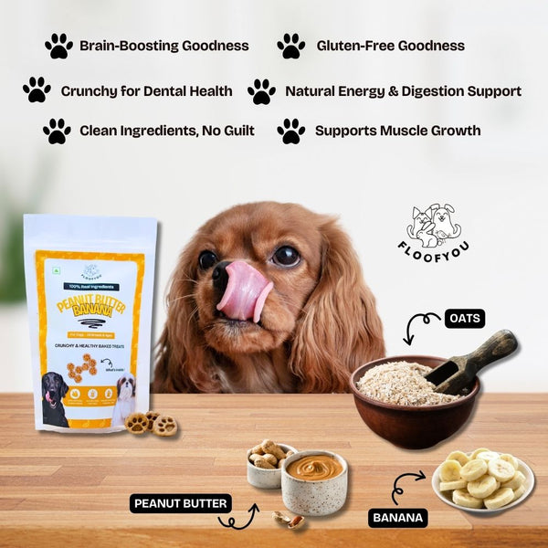 FloofYou Oven Baked Peanut Butter & Banana Dog Treats