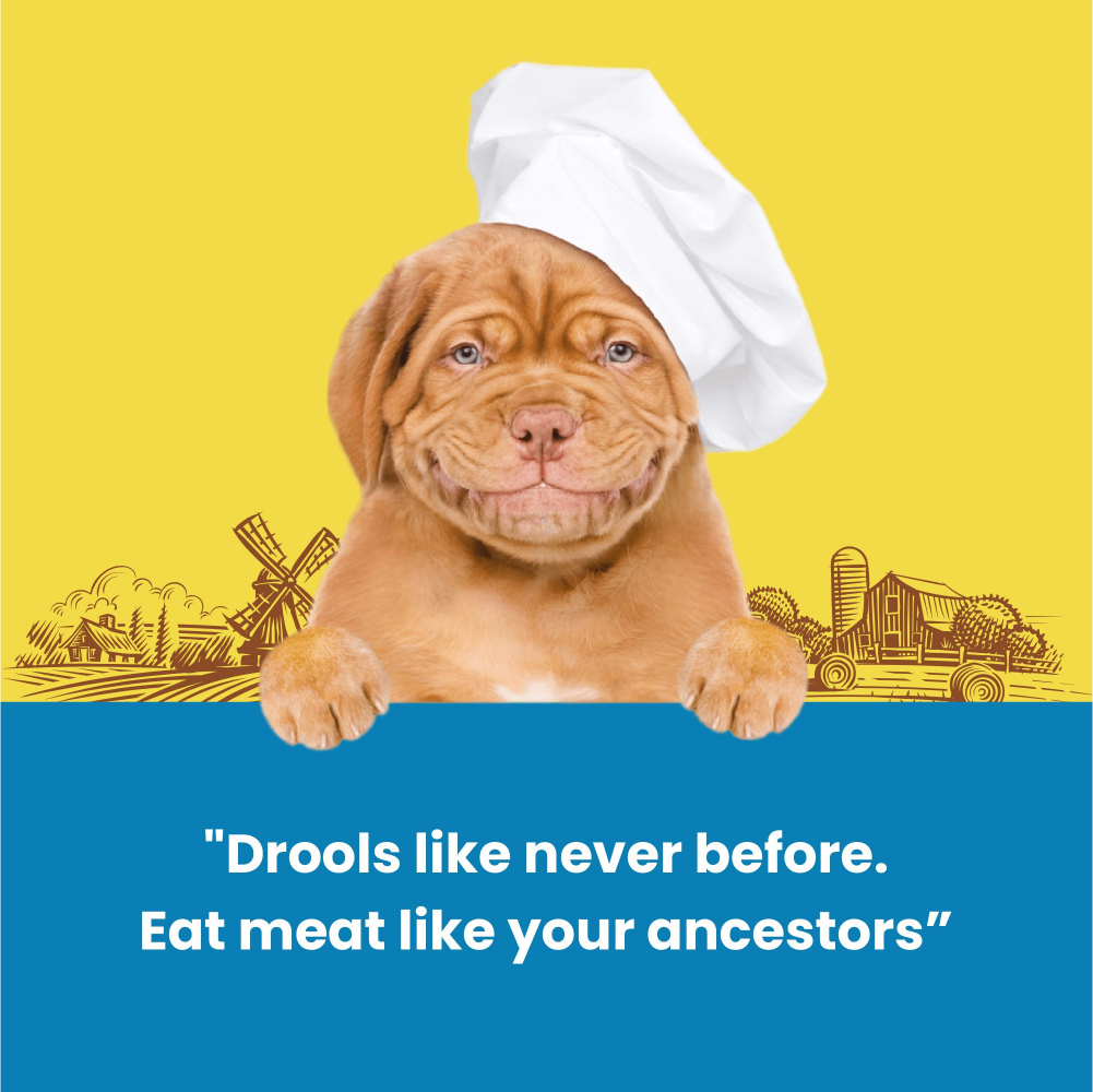 Dogfest Lamb Meat Sticks Dog Treats Dog Treats + Others Petfest