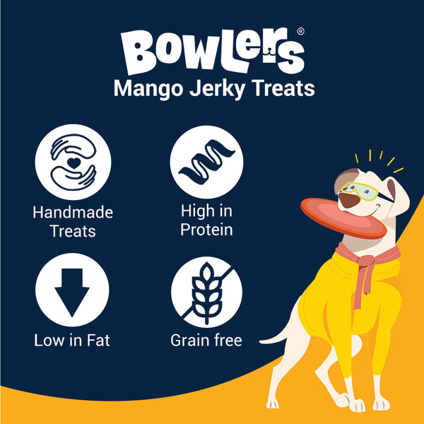 Bowlers Mango Jerky Dog Treats