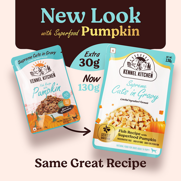 Kennel Kitchen Supreme Cuts in Gravy Fish Recipe with Pumpkin Puppy & Adult Dog Wet Food (All Life Stage)