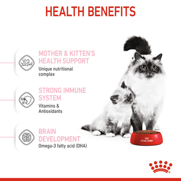 Royal Canin Mother & Babycat Cat Dry Food