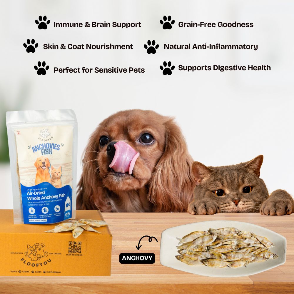 FloofYou Air Dried Whole Anchovy and Sardines Fish Dog and Cat Treats Combo Dog Treats + Others FloofYou