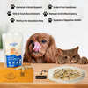 FloofYou Air Dried Whole Anchovy and Sardines Fish Dog and Cat Treats Combo Dog Treats + Others FloofYou