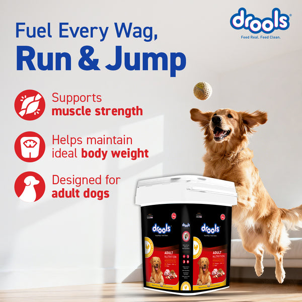 Drools Chicken and Egg Adult Dog Dry Food
