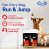 Drools Chicken and Egg Adult Dog Dry Food Dogs- Dry Food Drools