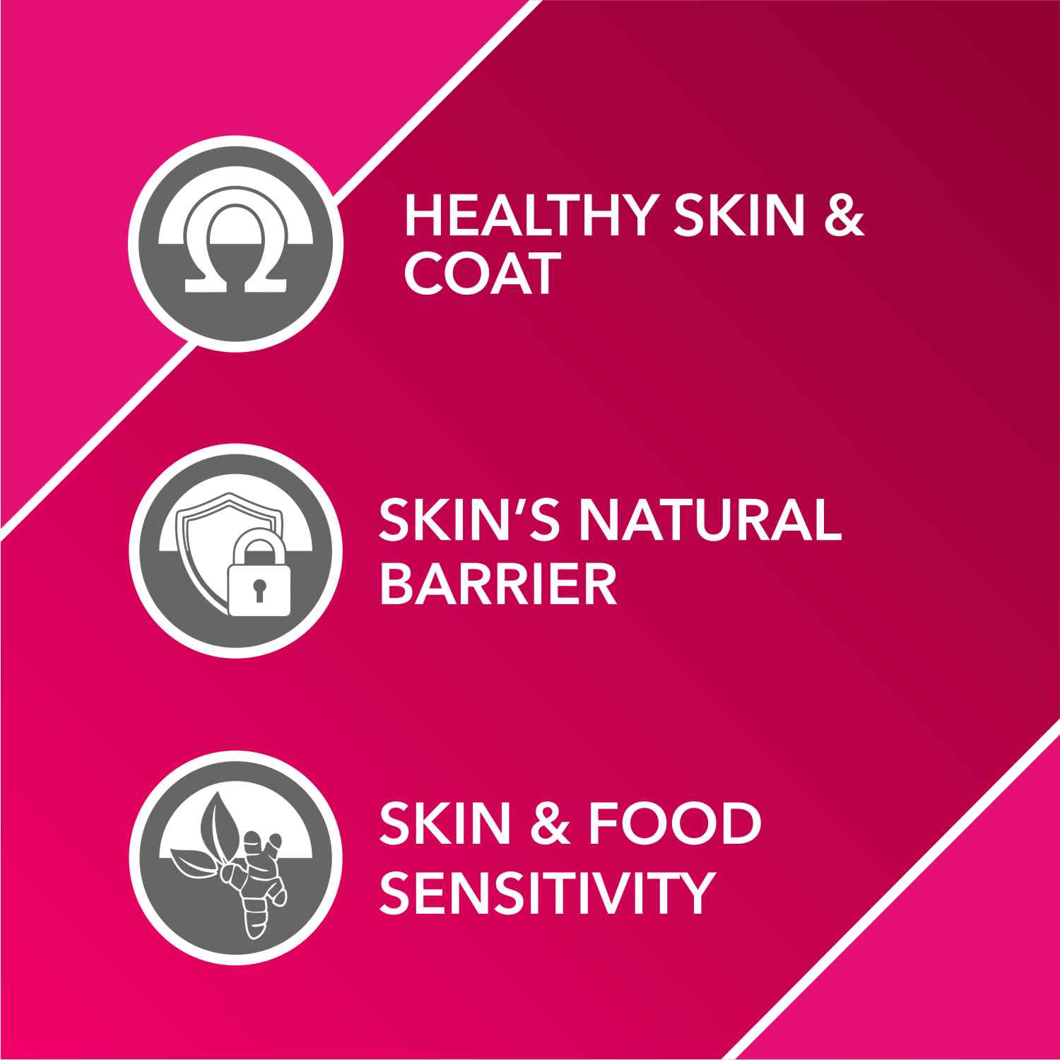 Drools Absolute Skin & Coat Supplement Tablets for Dogs Dogs-Health & Wellness Drools