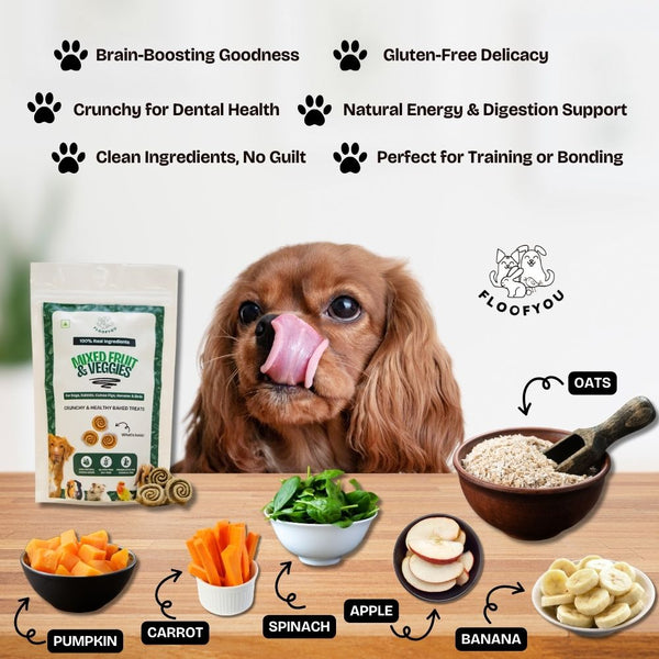 FloofYou Oven Baked Mixed Fruit and Veggies Dog Treats