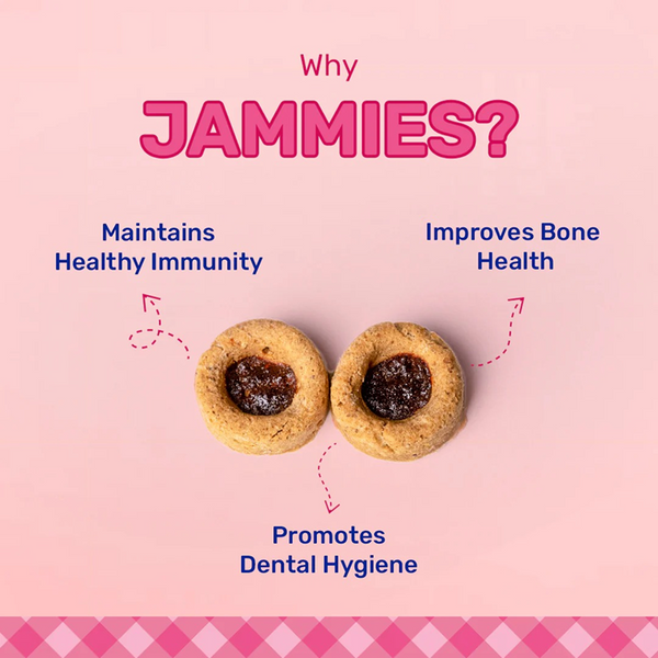 HUFT Jammies with Real Chicken Filled with Strawberry Jam Dog Treats