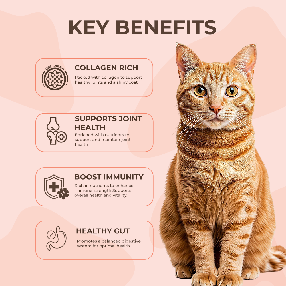 Bruno's Wild Essentials Atlantic Salmon Bone Broth For Cats Cats-Treats & Others Bruno's Wild Essentials