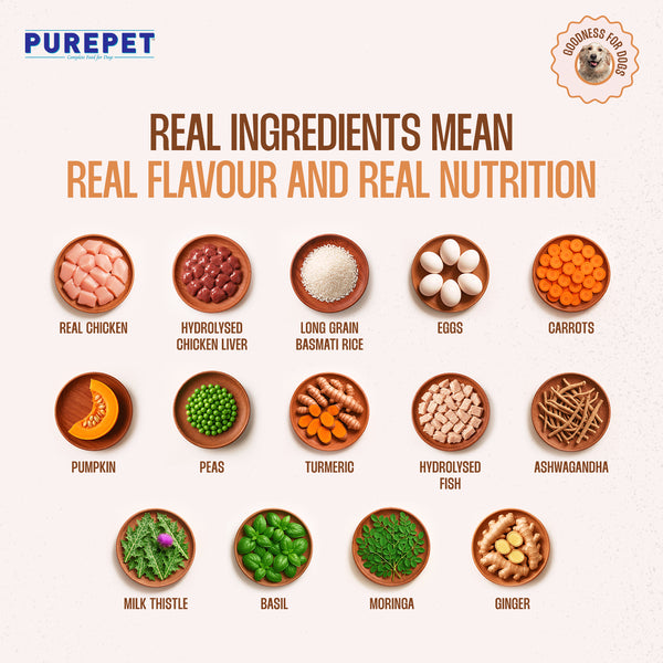 Purepet Chicken and Pumpkin Fresh Food for Dogs