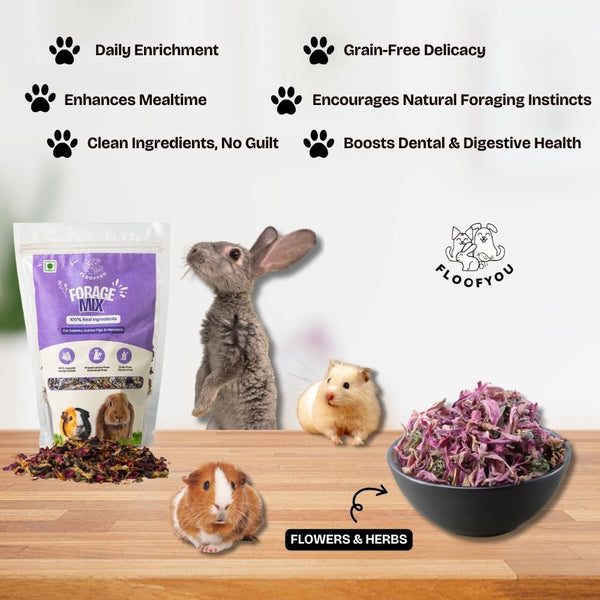 FloofYou Fibre Rich Forage Mix Rabbit Treats