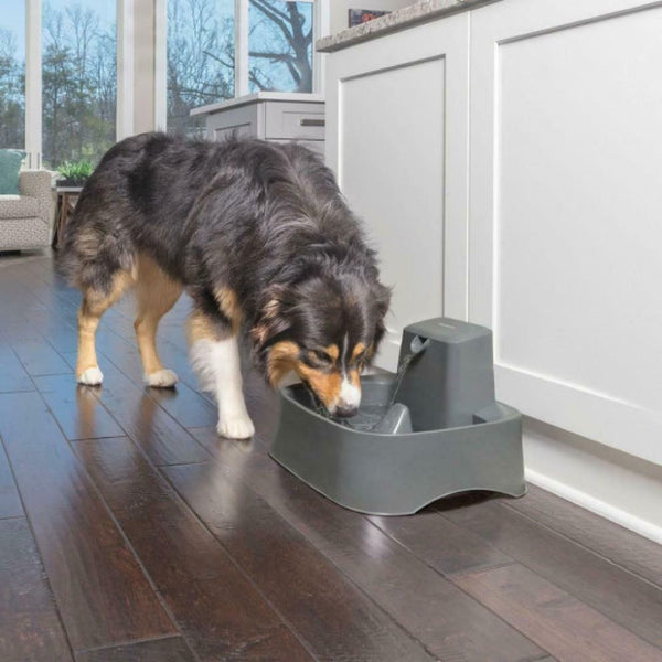 PetSafe Drinkwell Automatic Flowing Water Pet Fountain for Dogs and Cats