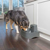Petsafe Drinkwell Automatic Flowing Water Fountain for Dogs and Cats (Dark Grey) Both-Bowls & Feeders Petsafe Dropship