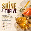 Signature Grain Zero Ocean Fish, Sardine and Mackerel Adult Cat Dry Food Cats- Dry food Signature