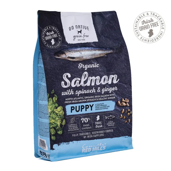 Go Native Salmon with Spinach & Ginger Puppy Dog Dry Food