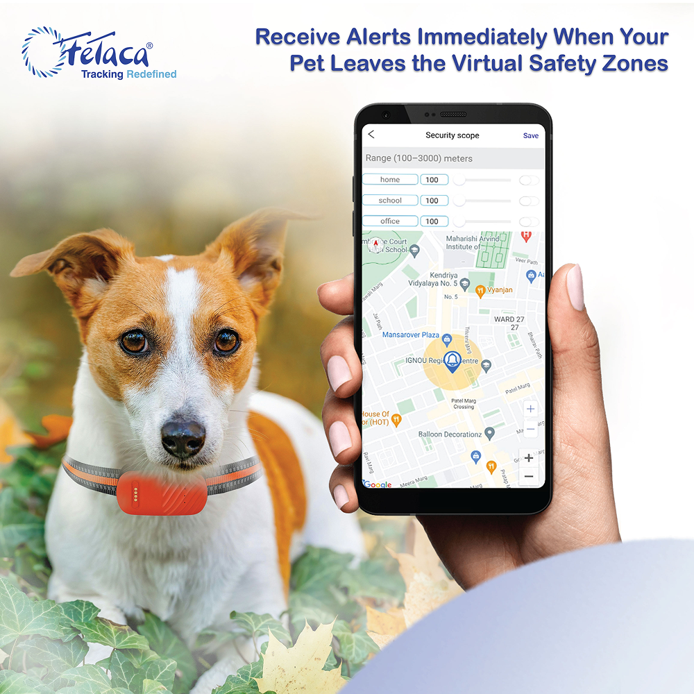 FeTaca Smart 4G GPS Tracker with Lifetime Free Tracking & 1 Year Data SIM Subscription for Dogs and Cats (Orange) Both-Collar, Leashes, harnesses FeTaca Dropship